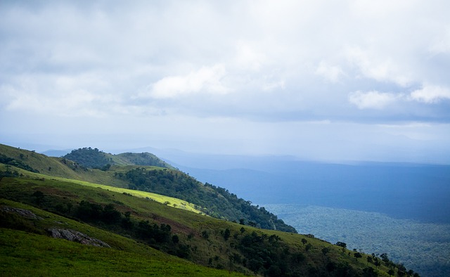 国家和企业 国家和企业