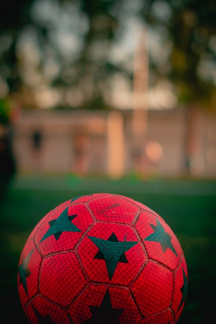 顽强不屈的 顽强不屈的