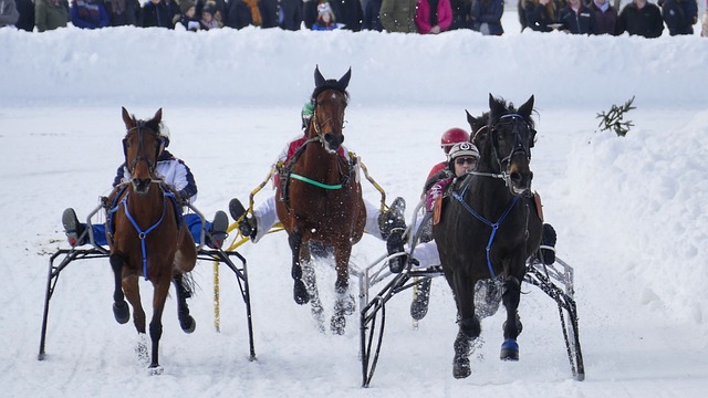 行動分解和 行動分解和