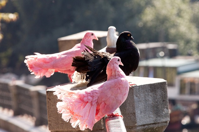 他在球场上 他在球场上