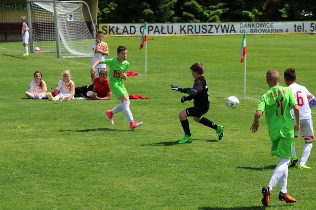 对比赛形态 对比赛形态