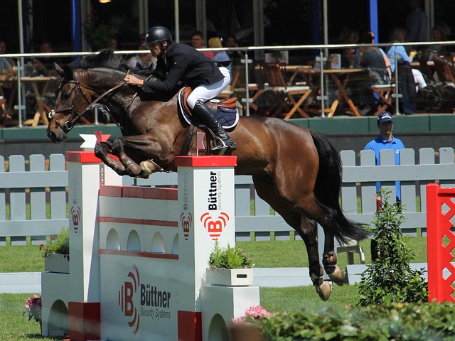 国际赛场上 国际赛场上