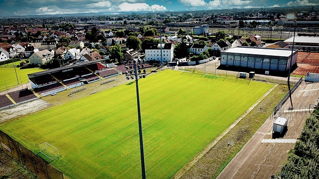 关于沙特欲 关于沙特欲