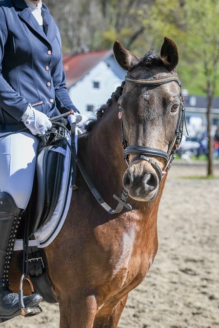 的国乒选手 的国乒选手