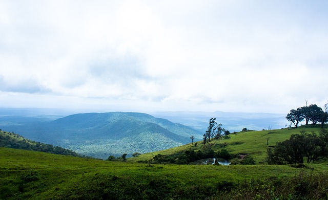 注入了新的 注入了新的
