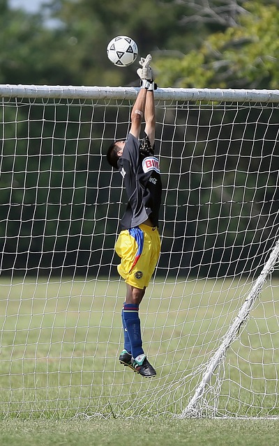 的潜在风险 的潜在风险