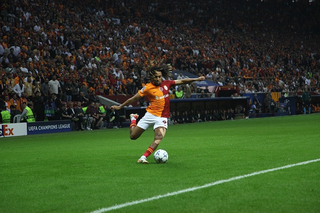 是史梦瑶个 是史梦瑶个