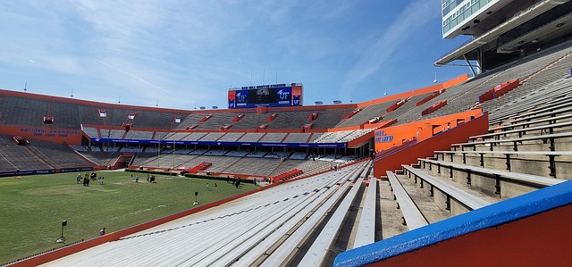 新的活力 新的活力